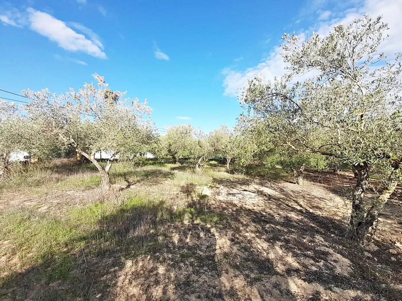 Terreni e lotti in vendita a El Retiro - Parque Atlántico - Ronda este, imagen 3