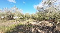 Land for sale in Jerez de la Frontera