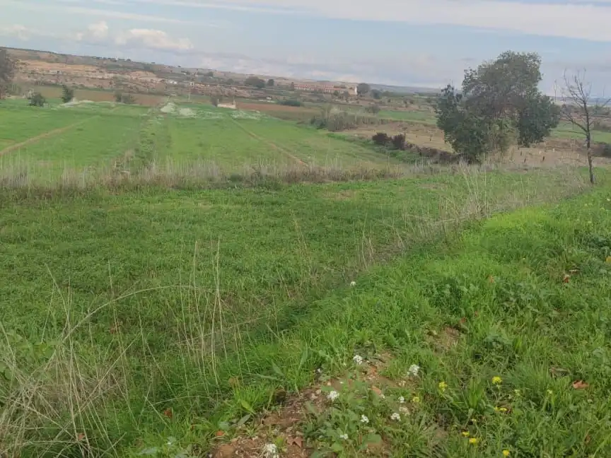 Rustikales Grundstück zum Verkauf in Carretera de Bellpuig 44, imagen 3