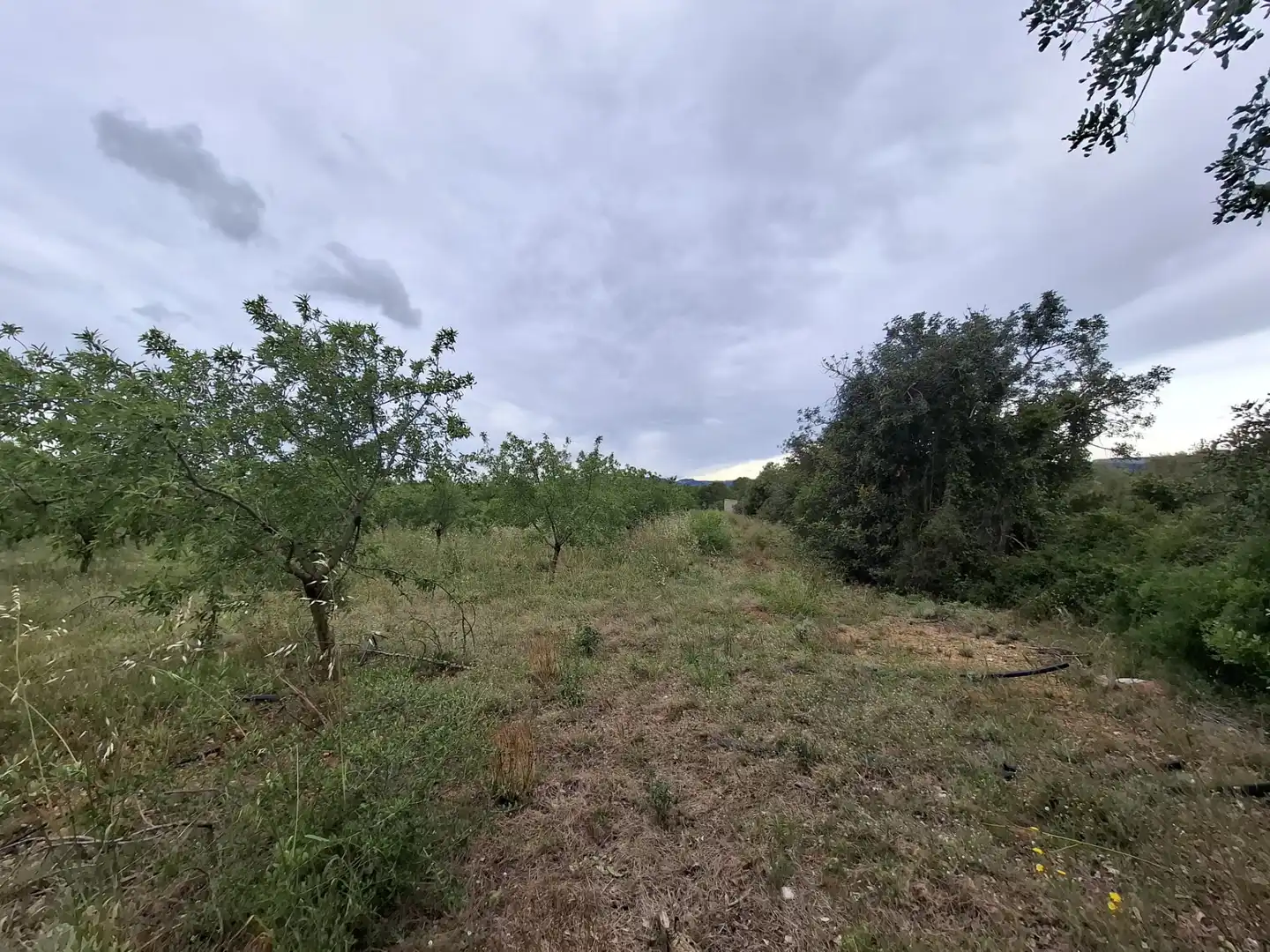 Land for sale in Mont-roig del Camp