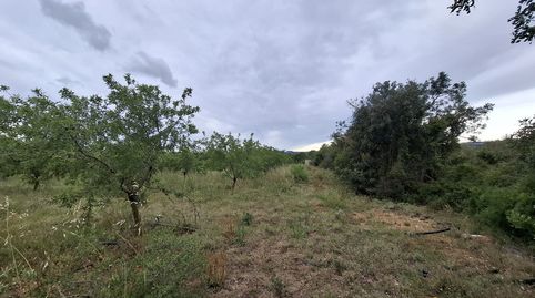 Foto 5 de Terreny en venda a N/a, -1, Poble, Mont-roig del Camp