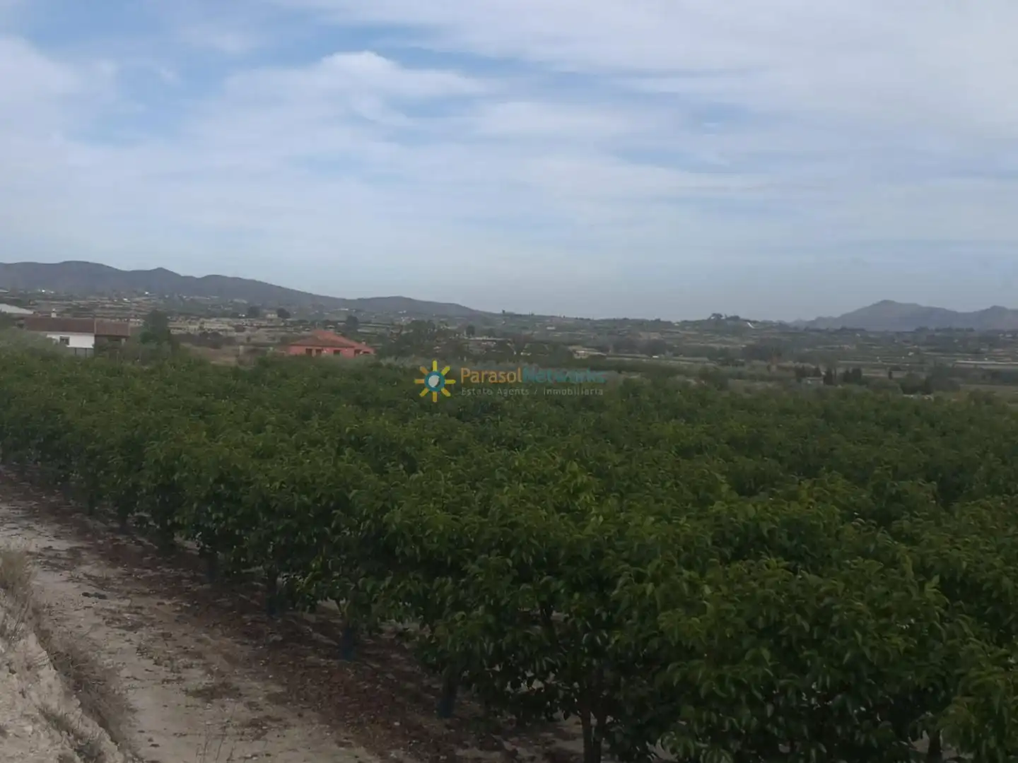 Rural land for sale in Benigànim, imagen 8