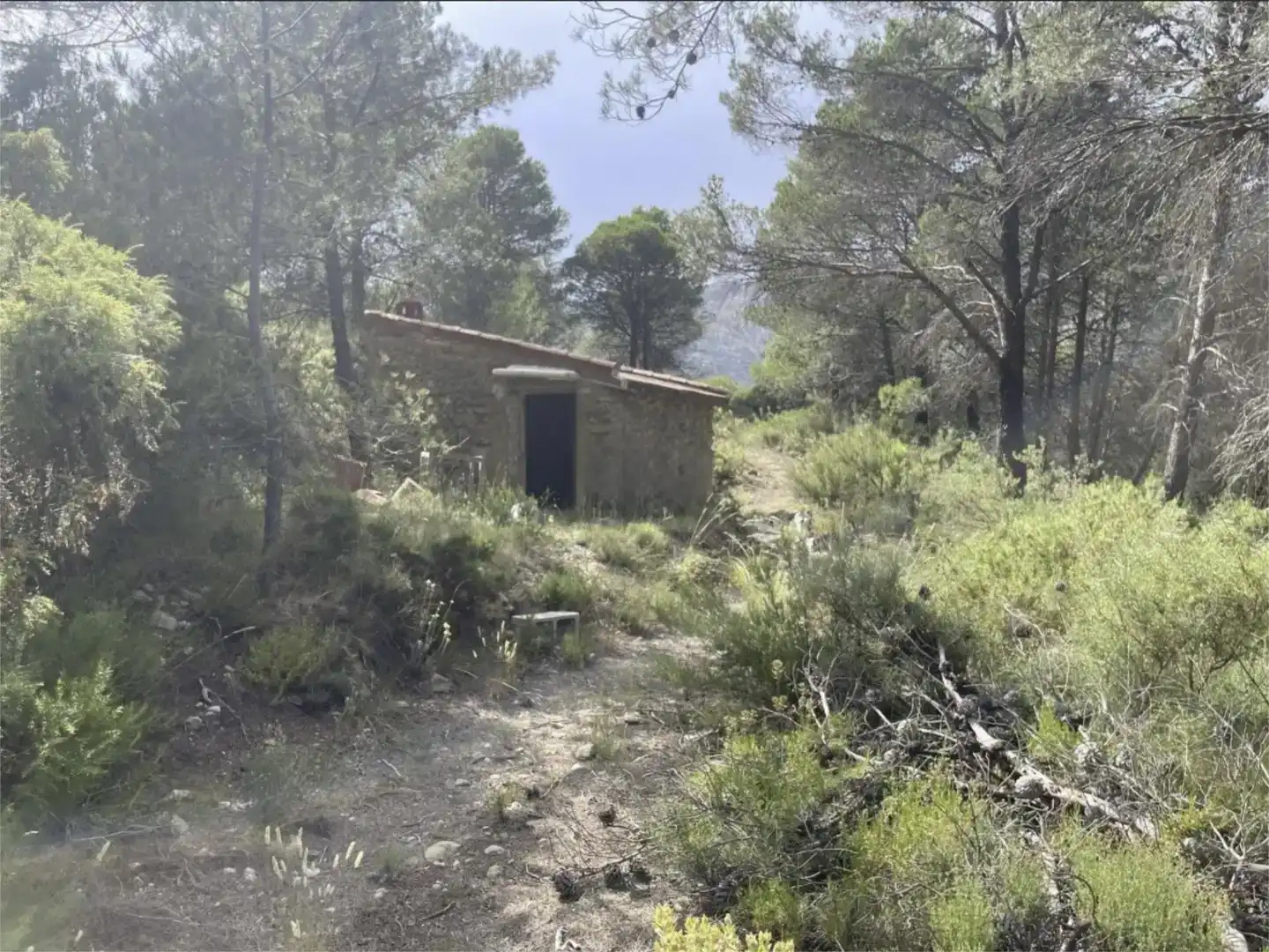 Country homes for sale in Confrides