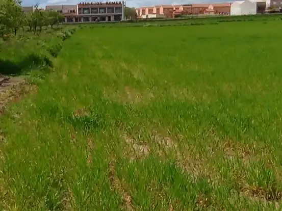 Terreno rustico in vendita a Cuartillejo Polig.1 Parcela 27
