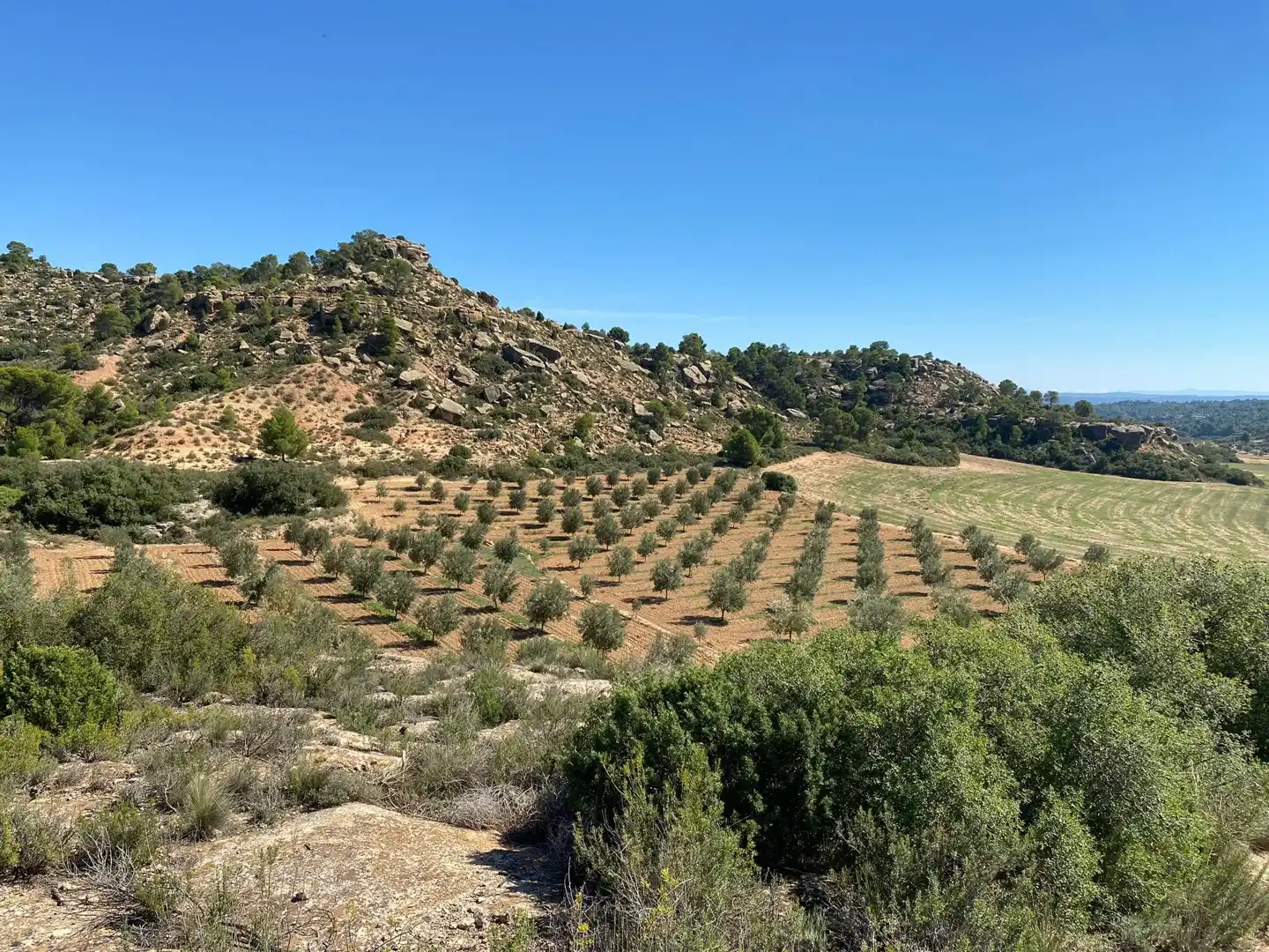Casa o chalet en venta en Alcañiz con Terraza