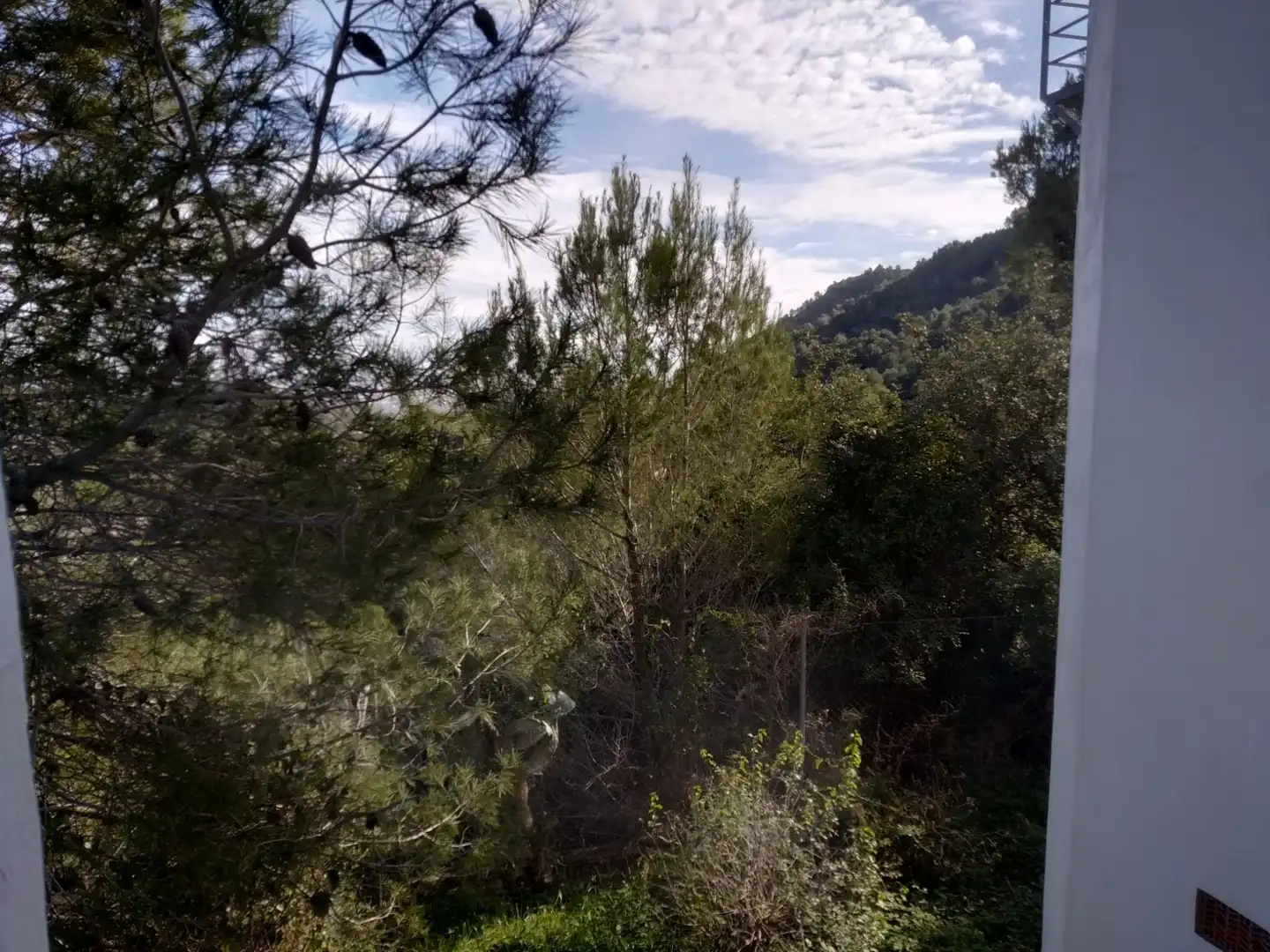 Villa con terrazza in vendita a Oliva pueblo, imagen 47
