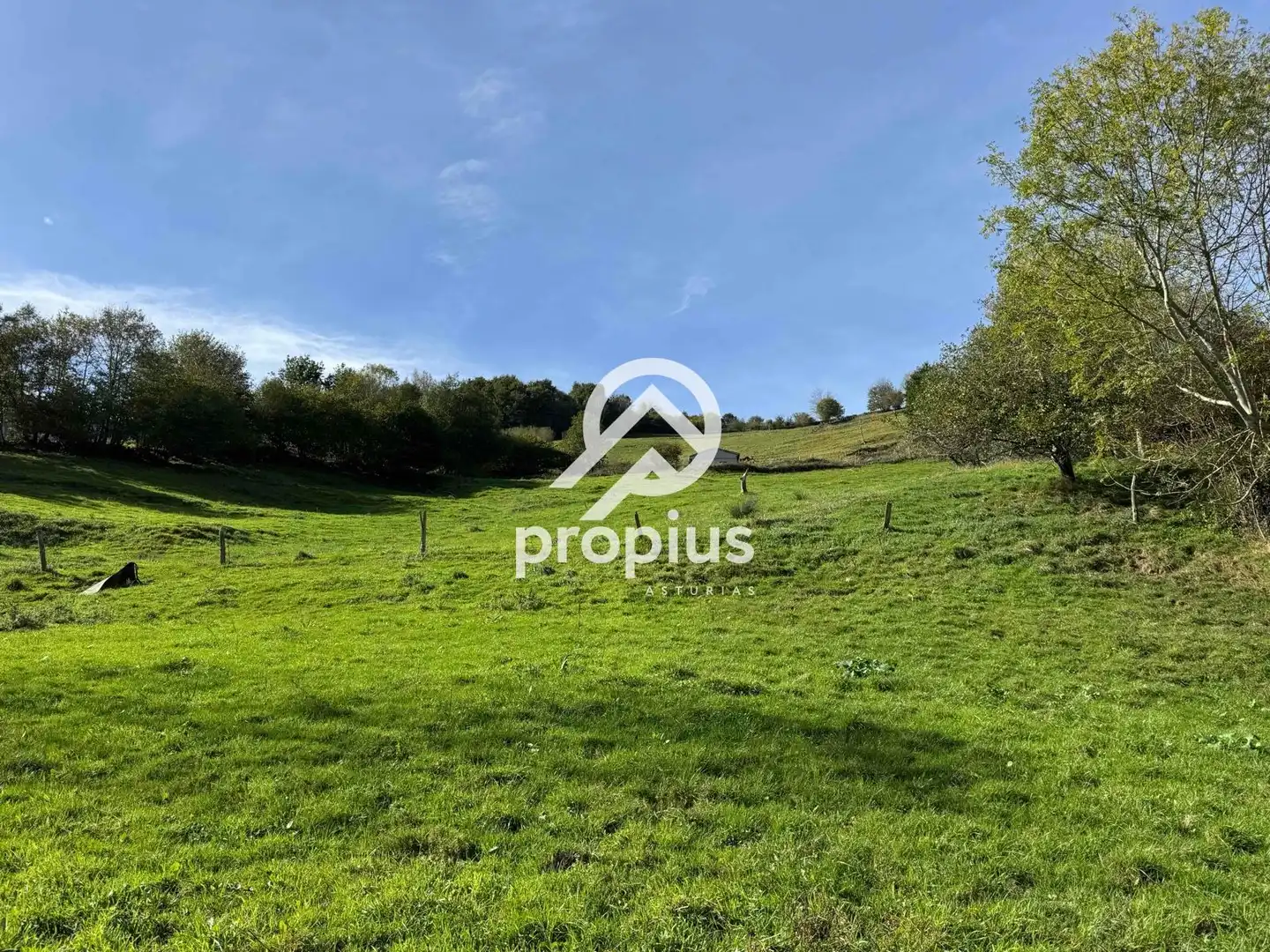 Rural land for sale in Inguanzo, imagen 15