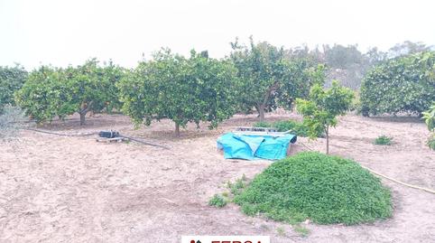 Photo 5 of House or chalet for sale in Cuatro Pinos - El Carmen, Cádiz