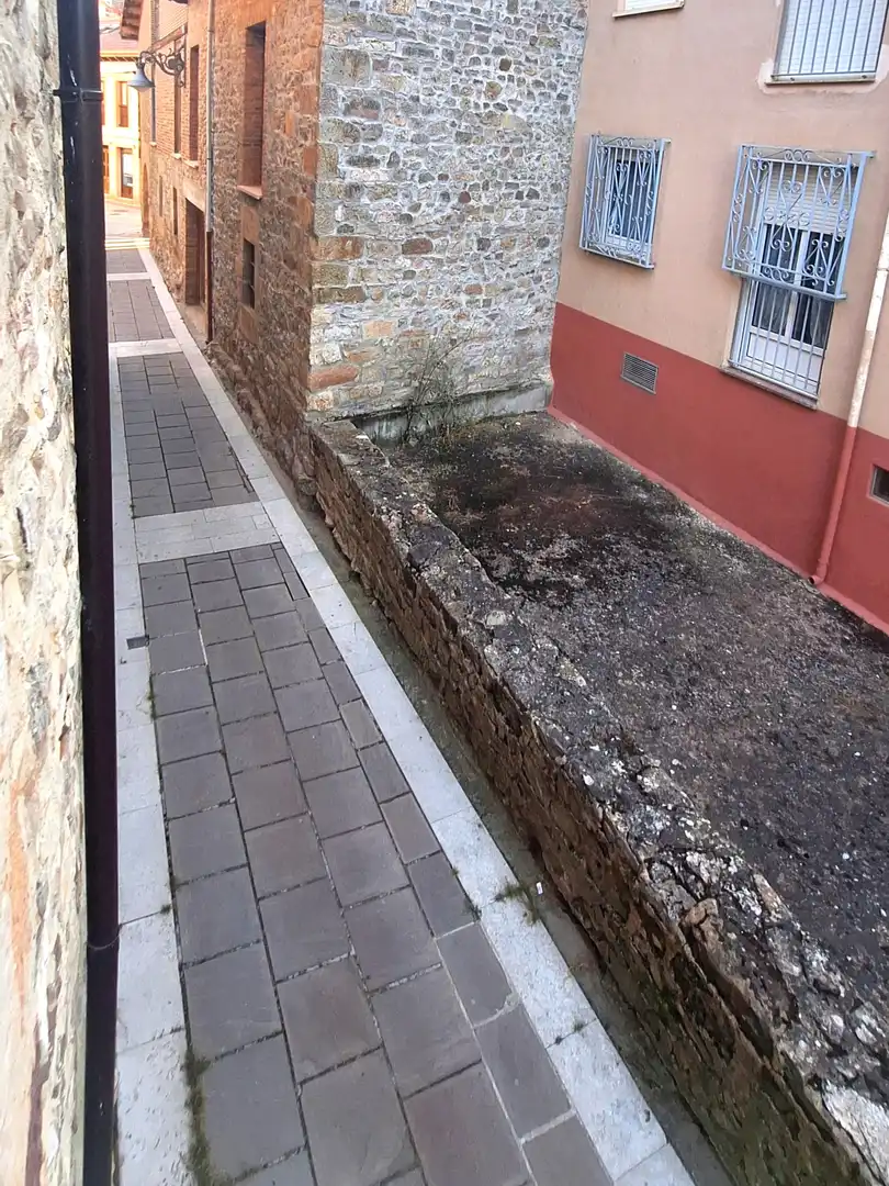 Exterior view of Houses for sale in Aguilar de Campoo  with Balcony