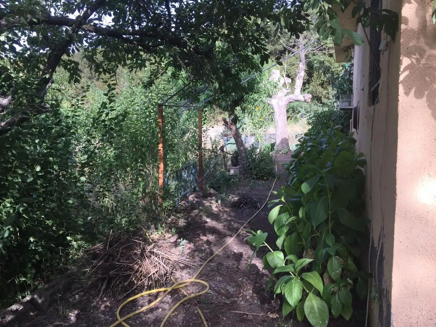 Finca rústica en venta en Los Realejos