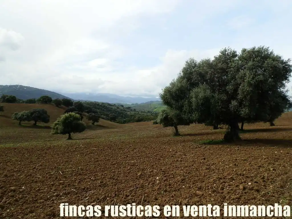 Terreno rustico in vendita a Algodonales, imagen 17