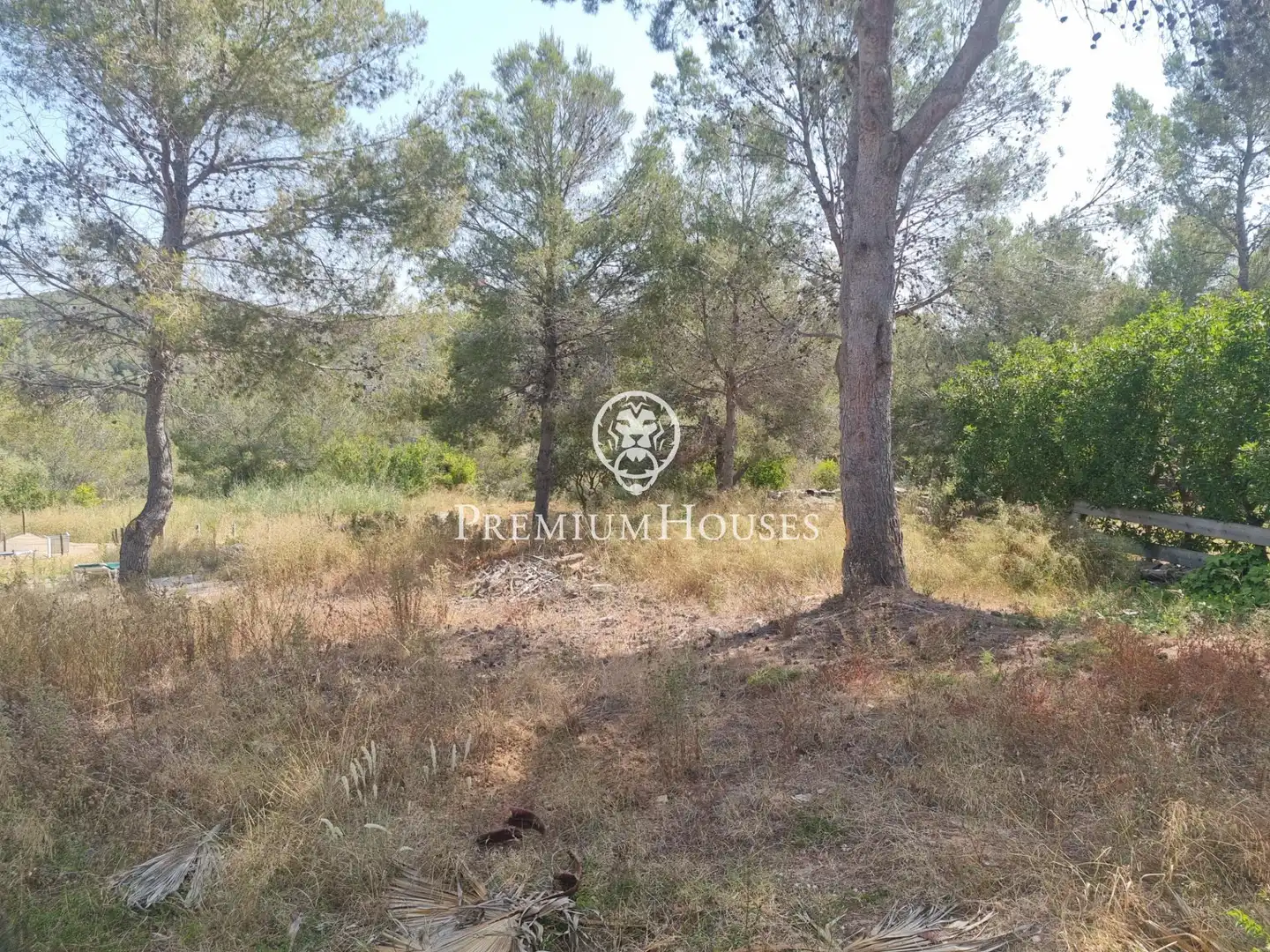 Terrain rustique à vendre à Vallpineda - Rocamar, imagen 6