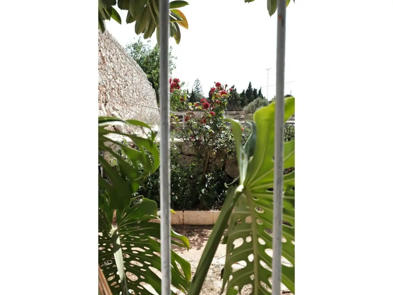 Jardín de Finca rústica en venta en Ciutadella de Menorca con Jardín privado y Piscina