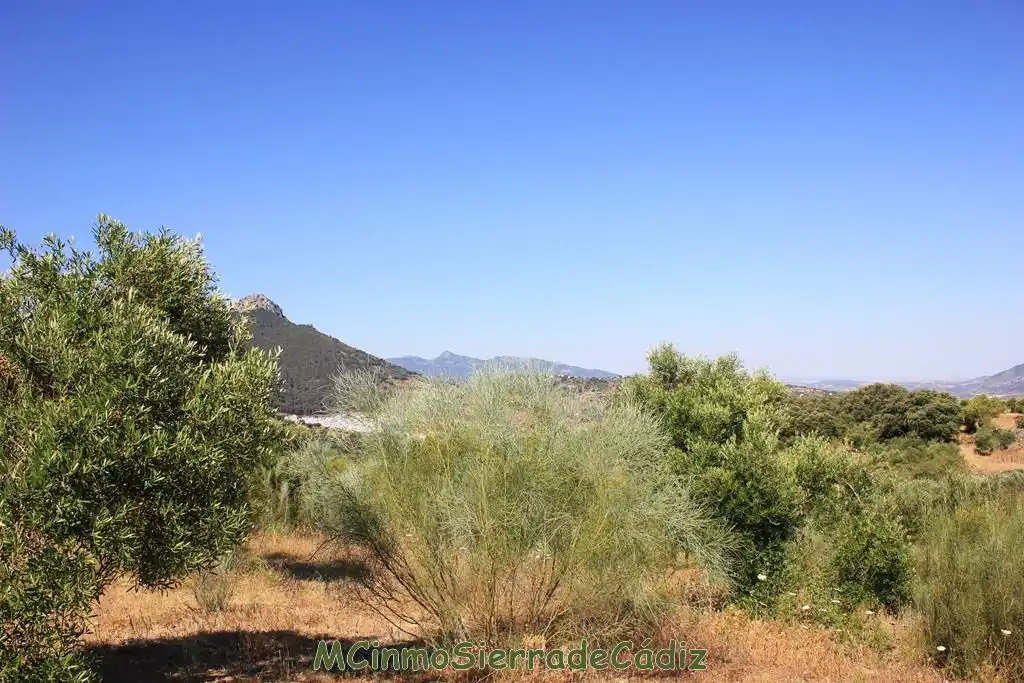 Finca rústica en venta en Montecorto
