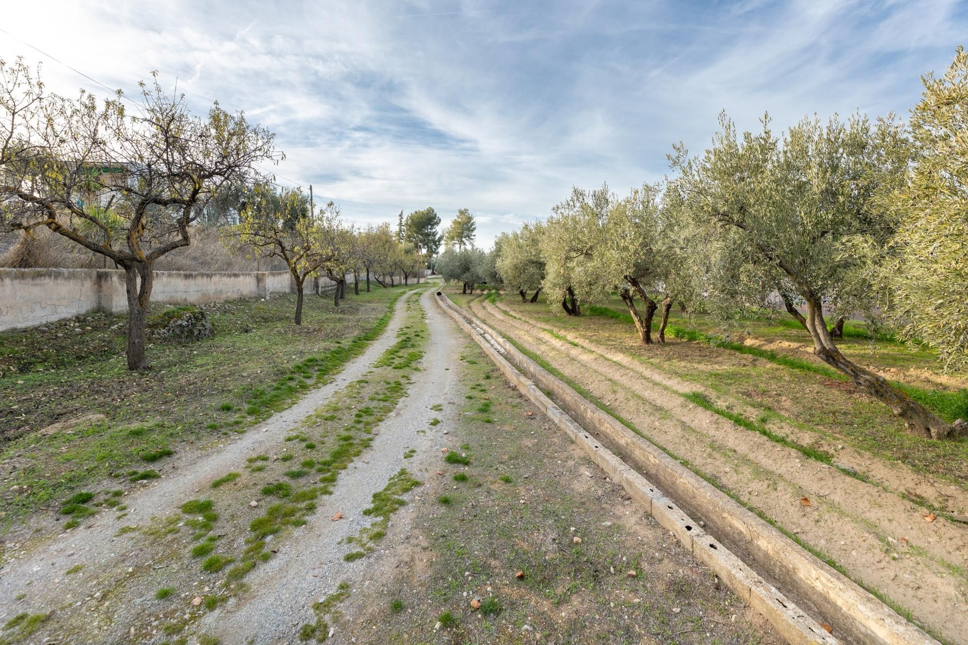 Finca rústica en venda en Villa de Otura amb Jardí privat, Terrassa i Traster