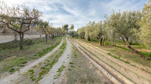 Foto 3 de Finca rústica en venda a Villa de Otura, Granada