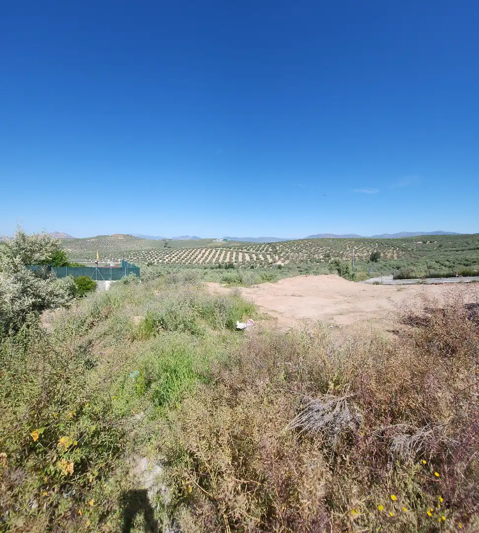 Terreni e lotti in vendita a Güevéjar, imagen 2