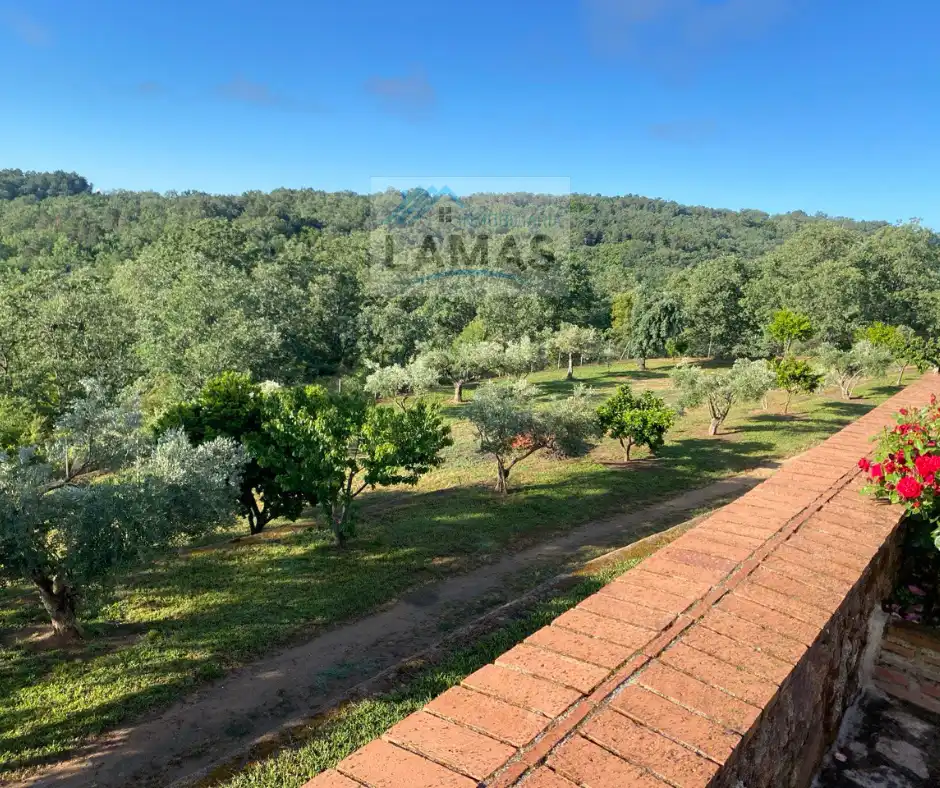 Jardín de Finca rústica en venta en Valverde de la Vera con Jardín privado, Terraza y Piscina