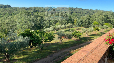 Foto 3 de Finca rústica en venta en Valverde de la Vera, Cáceres