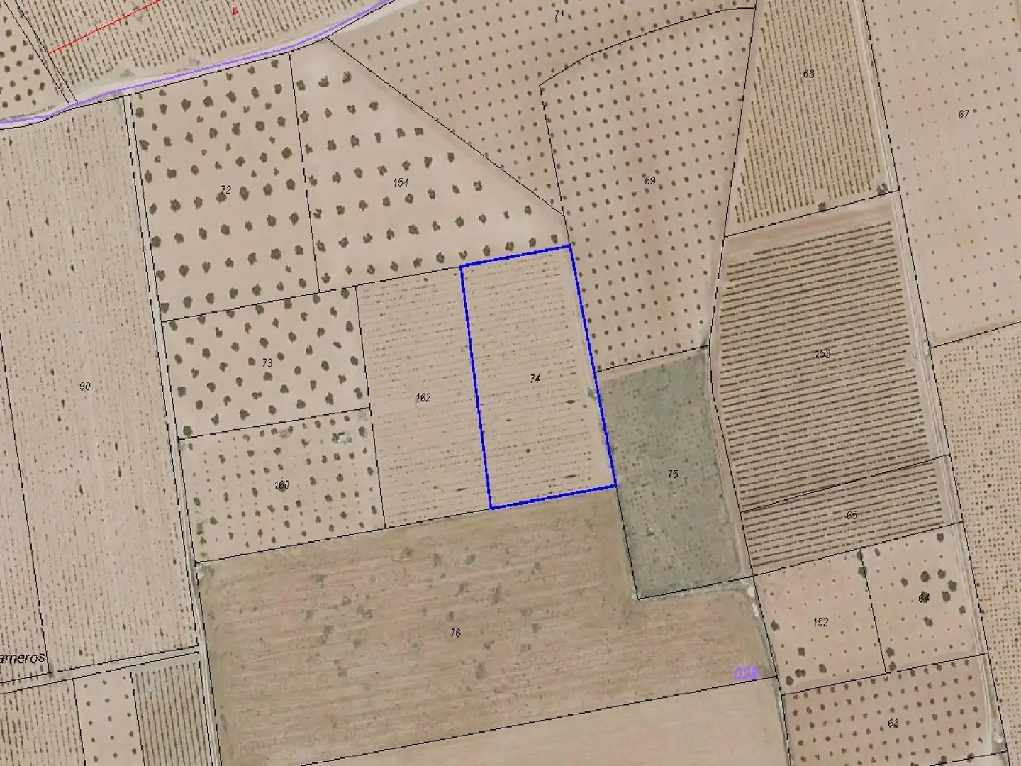 Land for sale in Membrilla