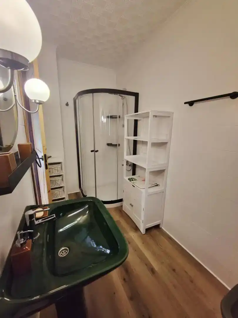 Bany de Casa o xalet en venda en Alcalá la Real amb Piscina