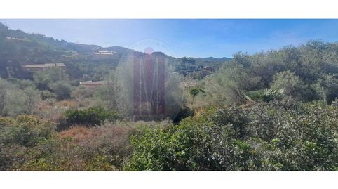Parcela urbanizable de 1.001 m en Palau Novella  Vistas abiertas al Parque del Garraf, immagine 3