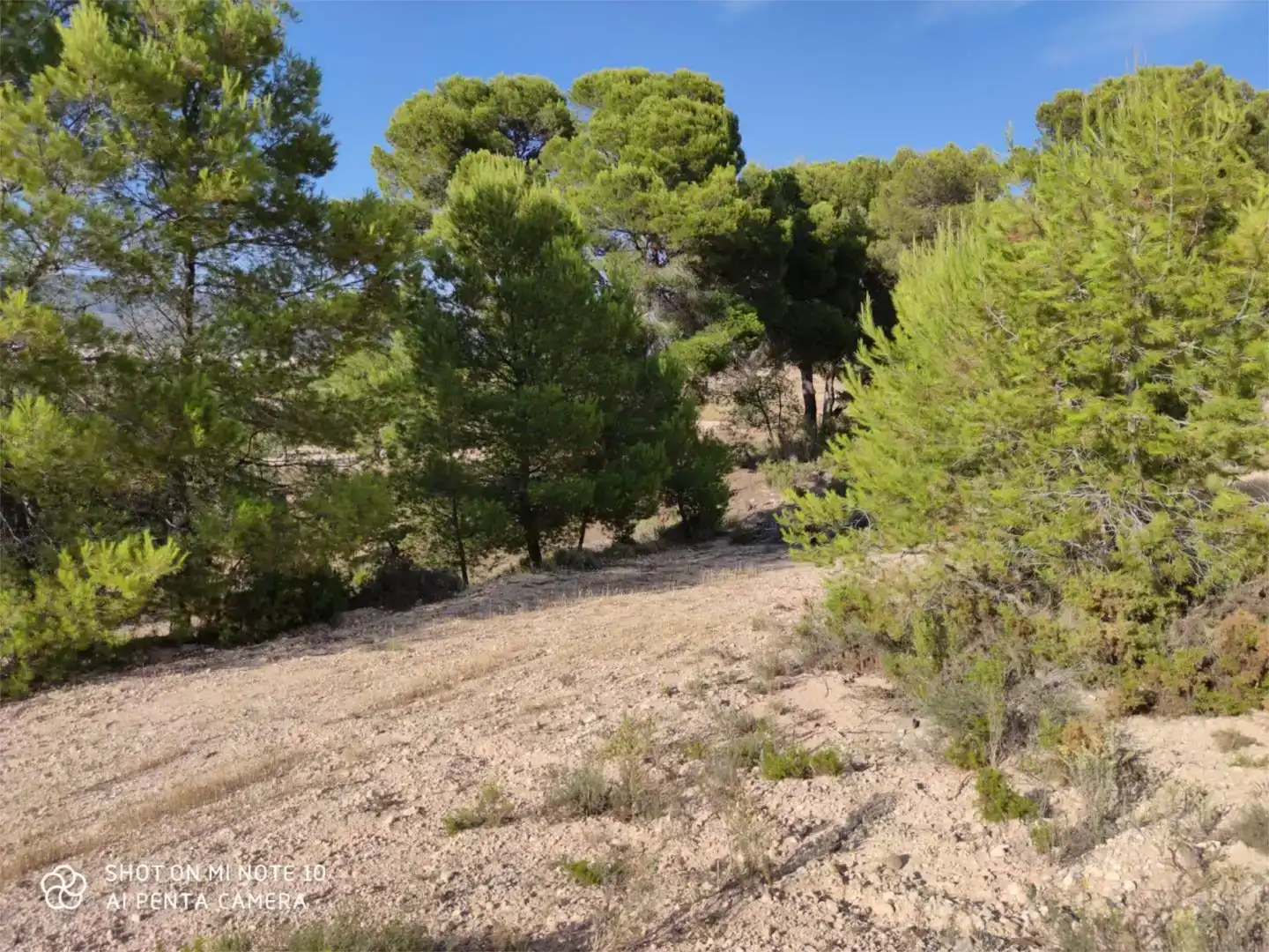 Finca rústica en venda en Ibi