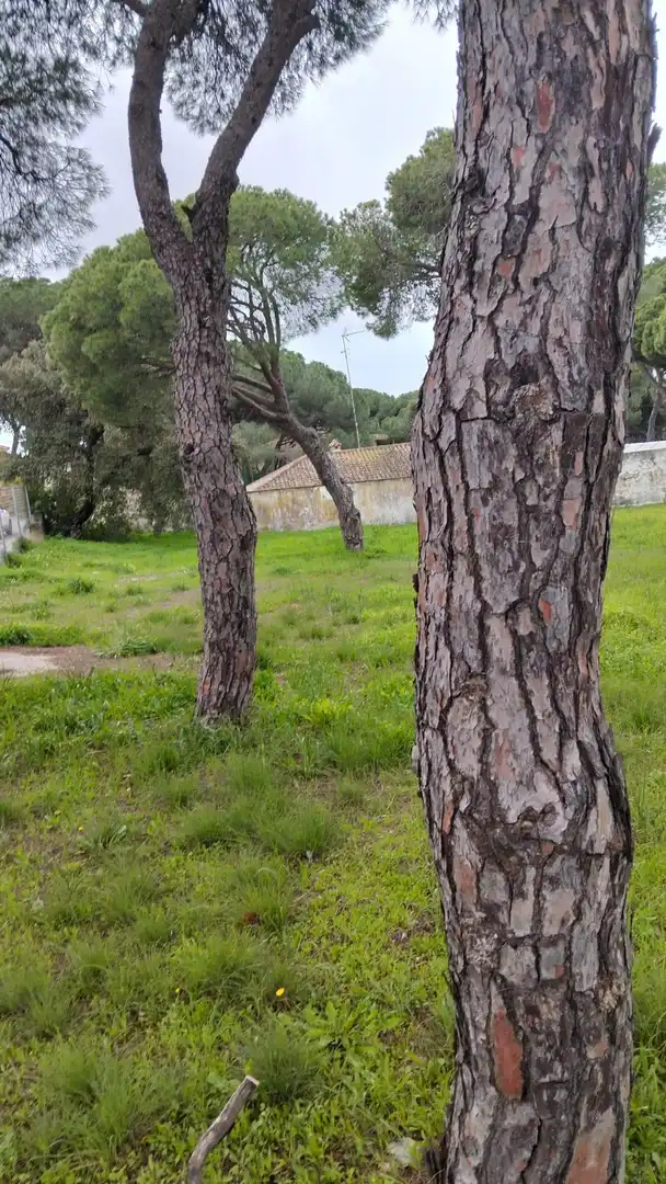 Residential land for sale in Los Franceses – La Vega, imagen 5