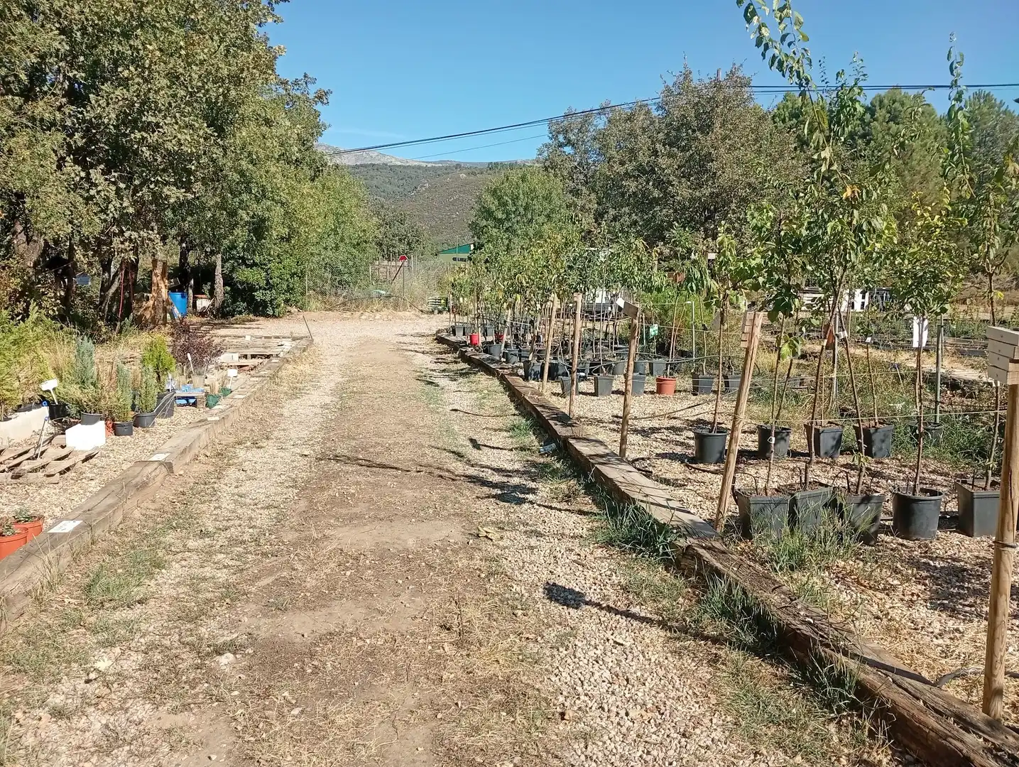 Terrain rustique à vendre à Villanueva de la Vera, imagen 6