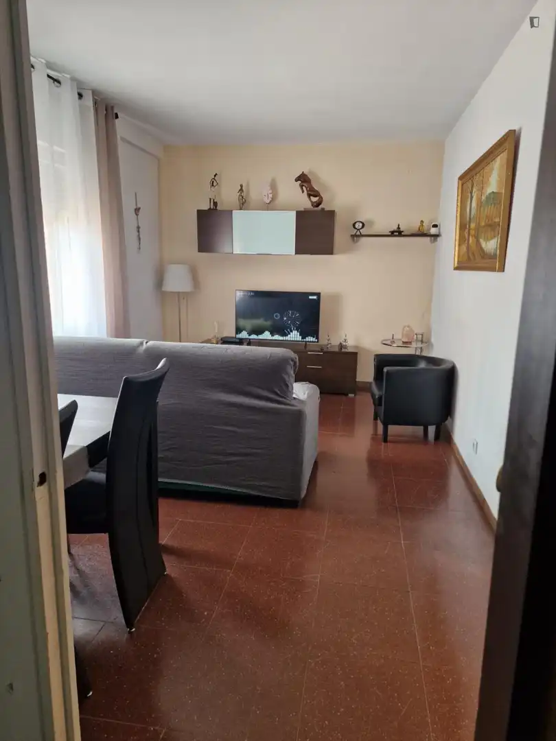 Living room of Apartments for share in Barcelona  with Furnished, Oven and Washing machine