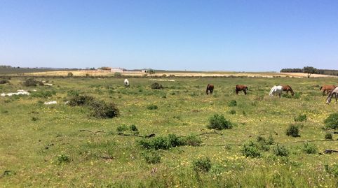 Photo 3 of Land for sale in Almonte ciudad, Almonte