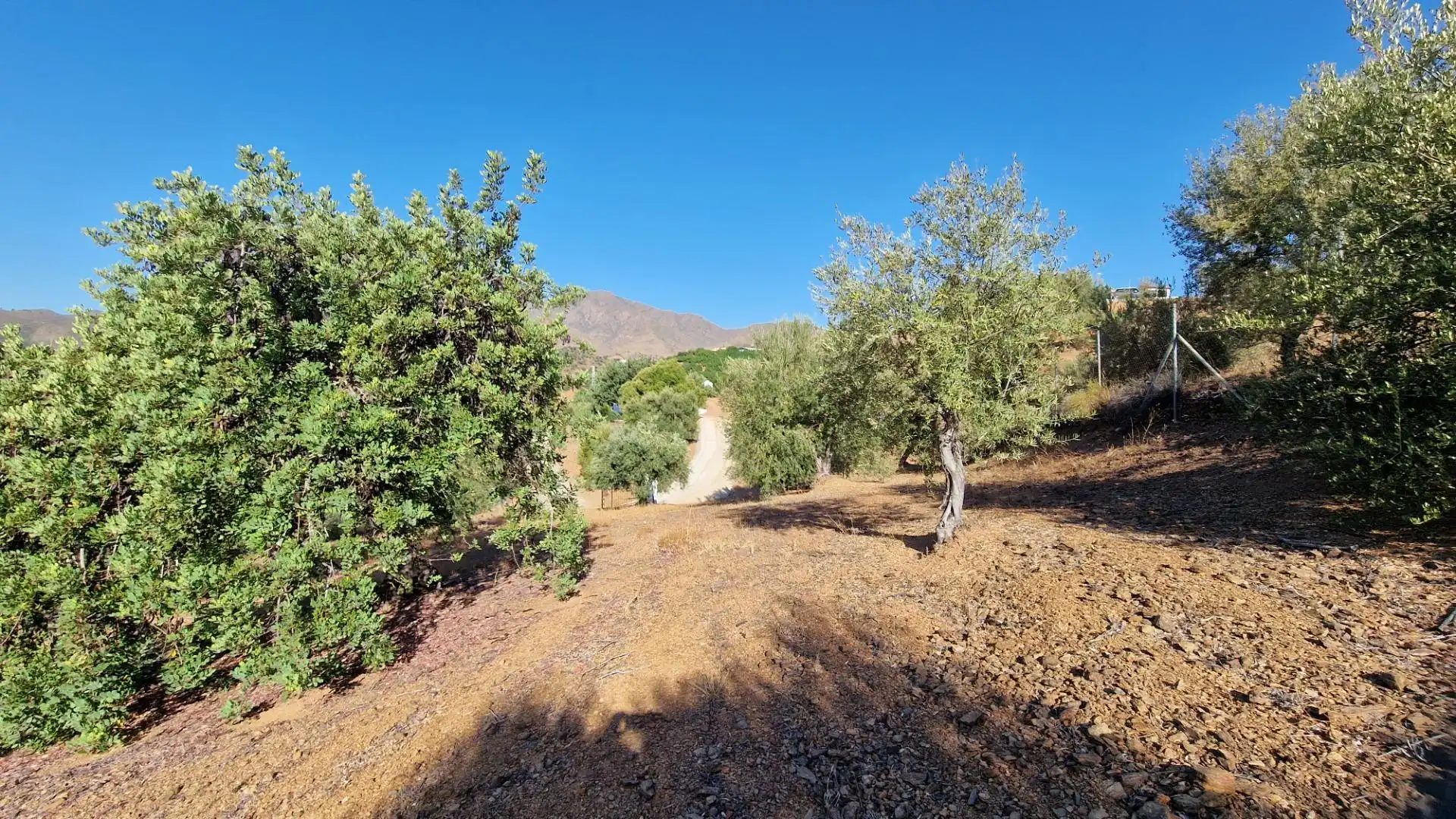Finca rústica en venda en Mijas amb Jardí privat i Alarma