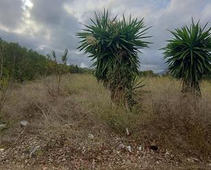 Land for sale in Jávea / Xàbia