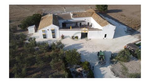 Foto 4 de Finca rústica en venda a Morón de la Frontera, Sevilla