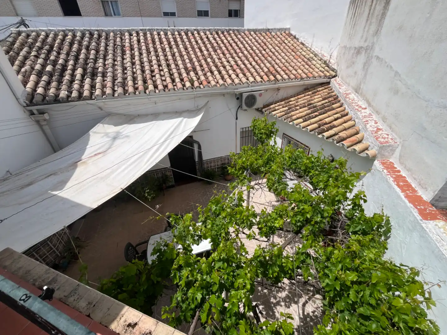 Jardí de Casa o xalet en venda en Palma del Río amb Aire condicionat