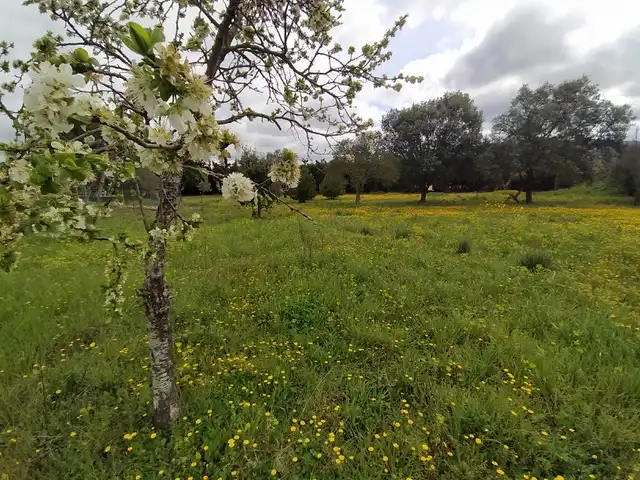 Rustikales Grundstück zum Verkauf in Nalda, imagen 4