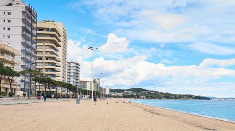 Platja dAroLocal, imatge 3