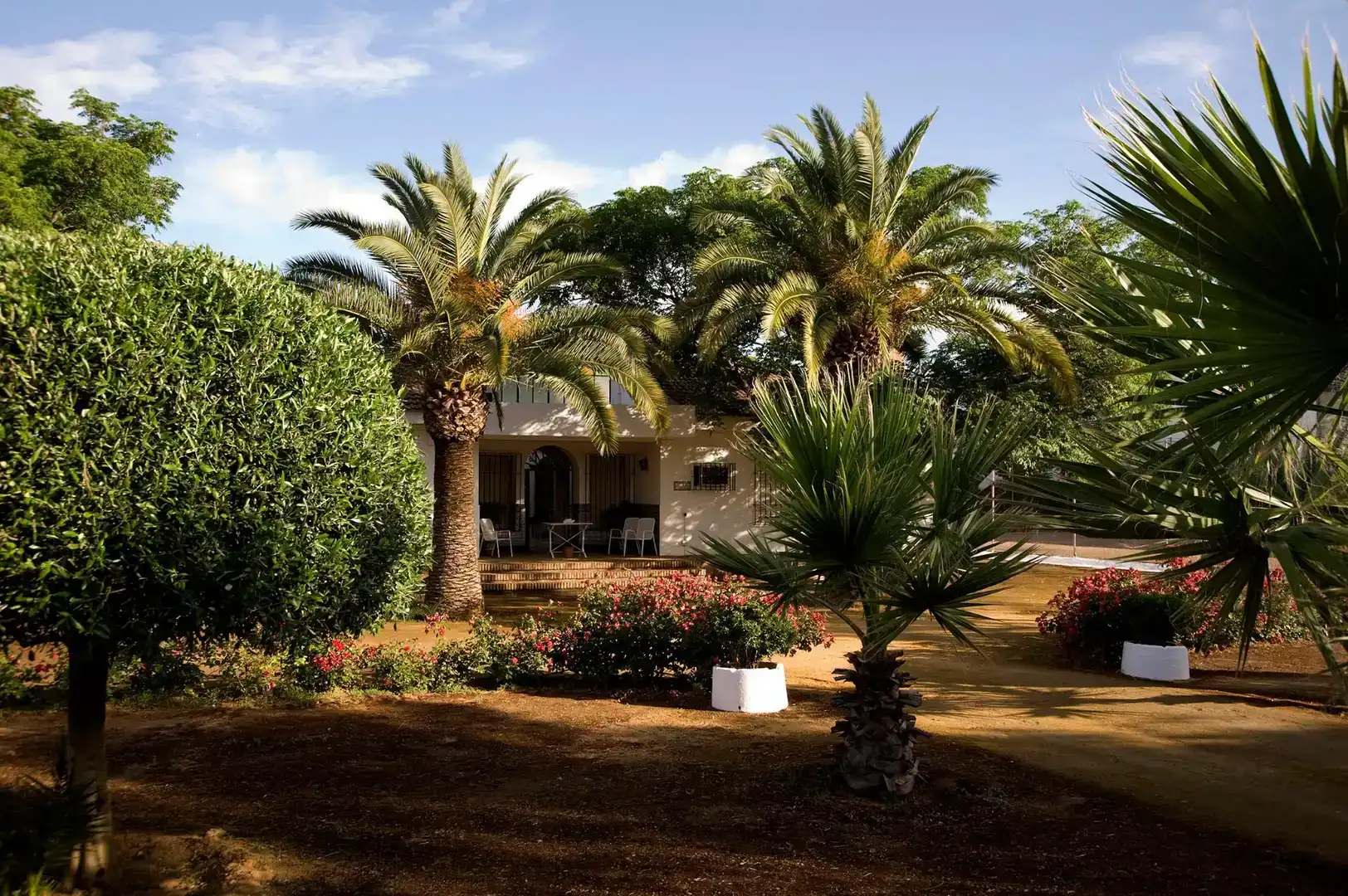 Jardí de Casa o xalet en venda en Carmona amb Aire condicionat, Jardí privat i Traster