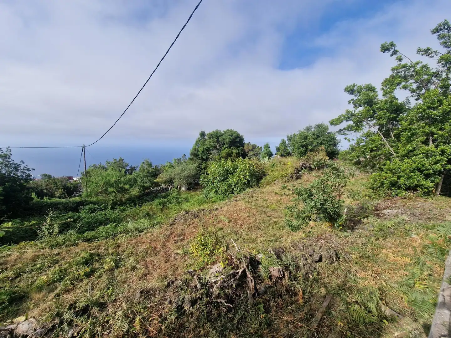 Finca rústica en venta en Icod de los Vinos con Terraza, Trastero y Amueblado