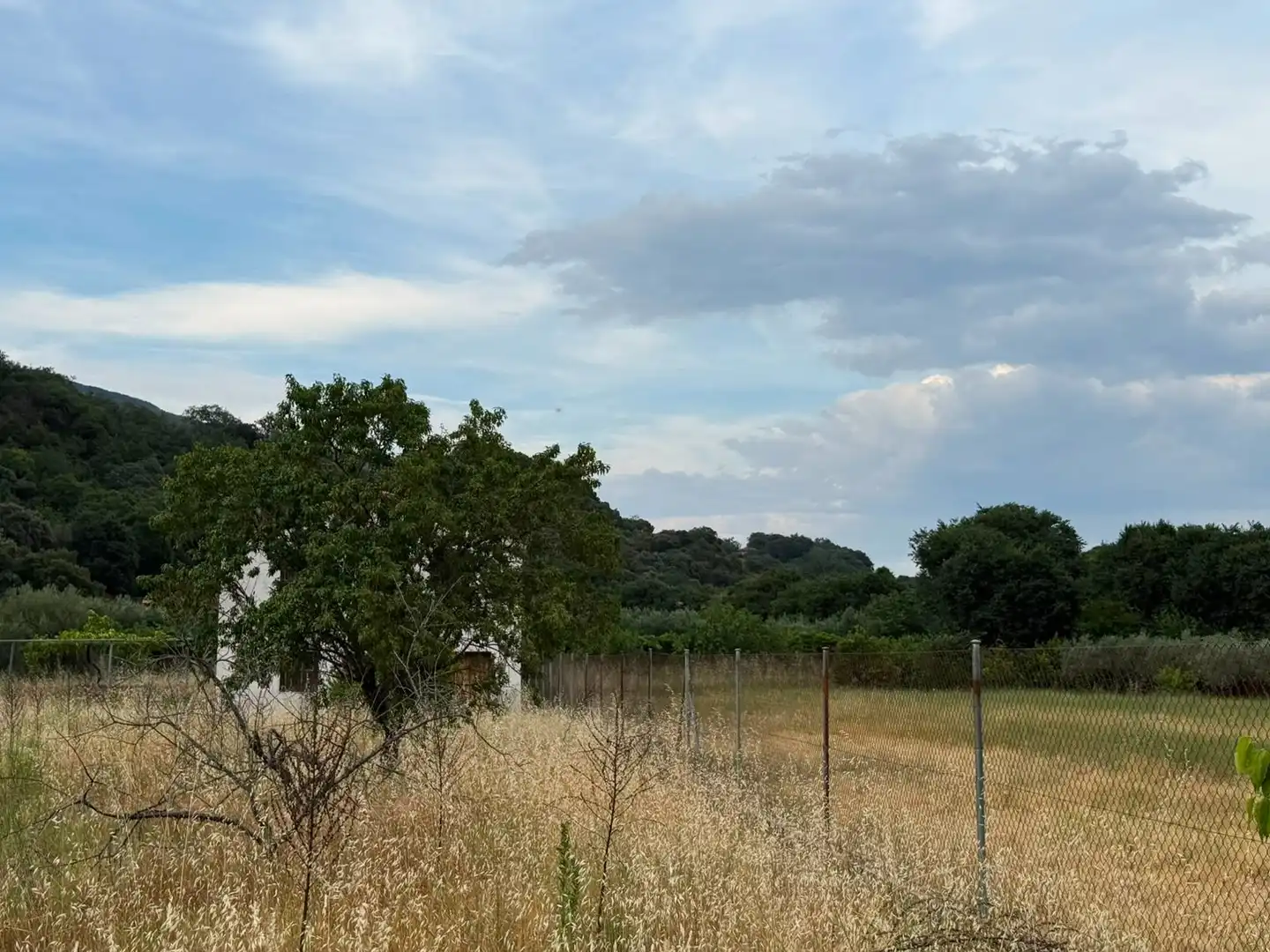 Terreni e lotti in vendita a Candeleda, imagen 13