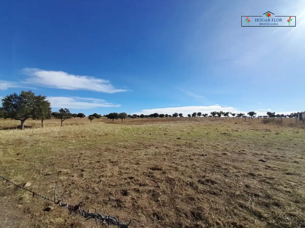 Finca rústica en venta en Carrascal del Obispo