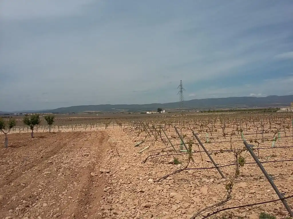 Terreny rústic en venda a CERCA (LA), imagen 8