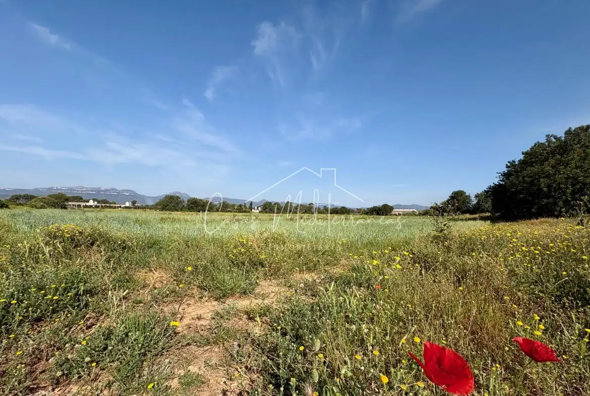 Terreny rústic en venda a Ardiaca - La Llosa, imagen 15
