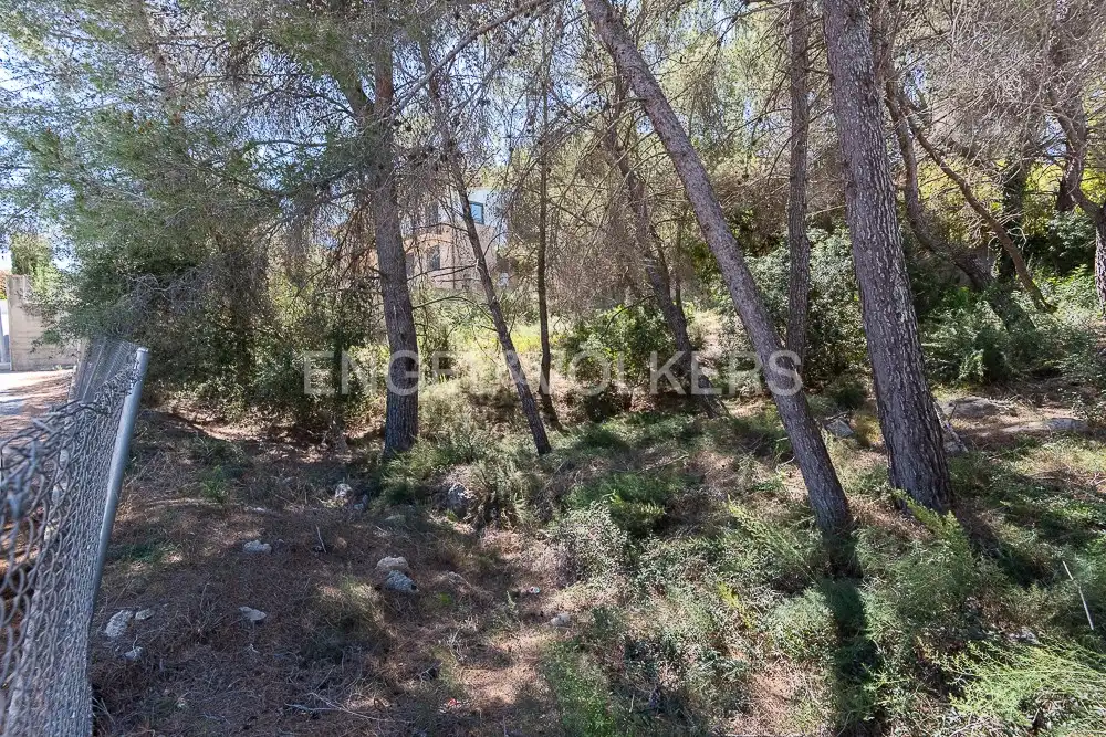 Terrenys i solars en venda a Carcaixent, imagen 4