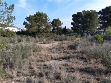 Terrenys i solars en venda a Calle DEU HORUS