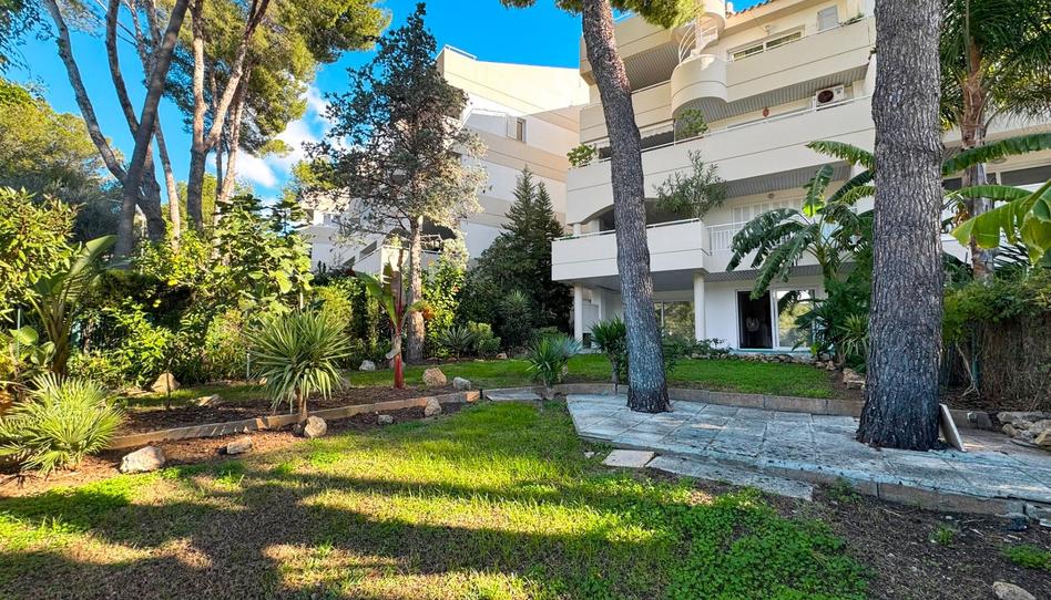 Photo 1 of Apartment to rent in Cas Català - Illetes, Illes Balears