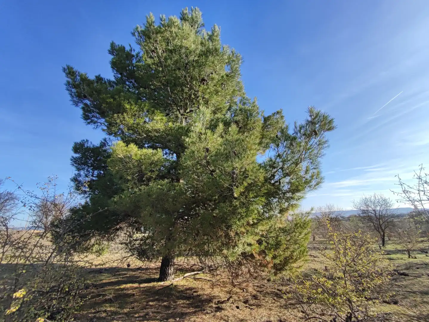 Finca rústica en venda a Carretera Autilla, 37, Allende el Río