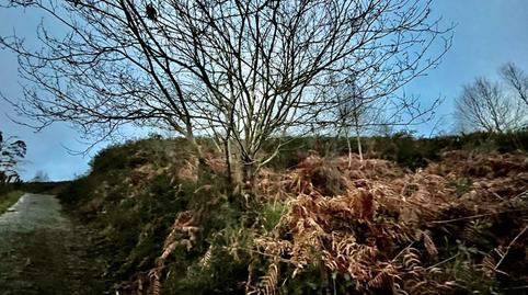 Photo 4 of Land for sale in Parroquias Sur - La Manjoya, Asturias