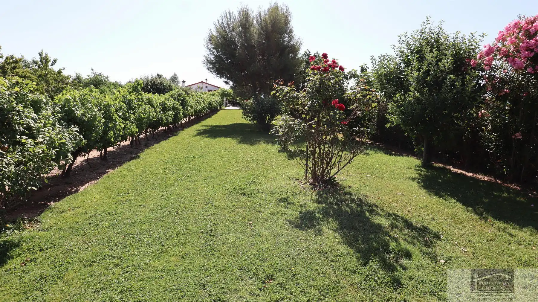 Jardín de Casa o chalet en venta en Fuente El Saz de Jarama con Calefacción, Terraza y Trastero