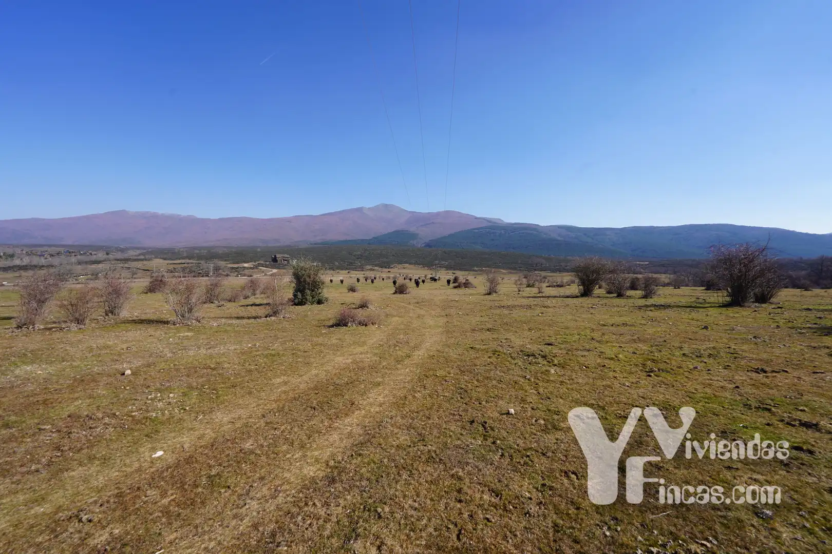 Terreno rústico en venta en Campillo de Ranas, imagen 15